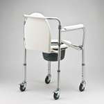 Кресло-коляска для инвалидов с санитарным оснащением FS695S Армед (Armed) - Китай